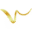 drwilsonangiologista.com.br favicon
